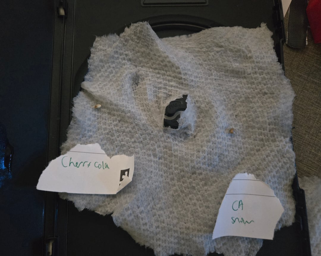 Fastbuds Autoflower Run