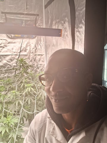 Free Seeds — vegetative, day 110