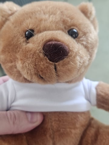 Bruce Banner — grow_setup, day 2