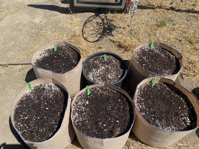 Auto Grow #2 2026 — grow_setup, day 5