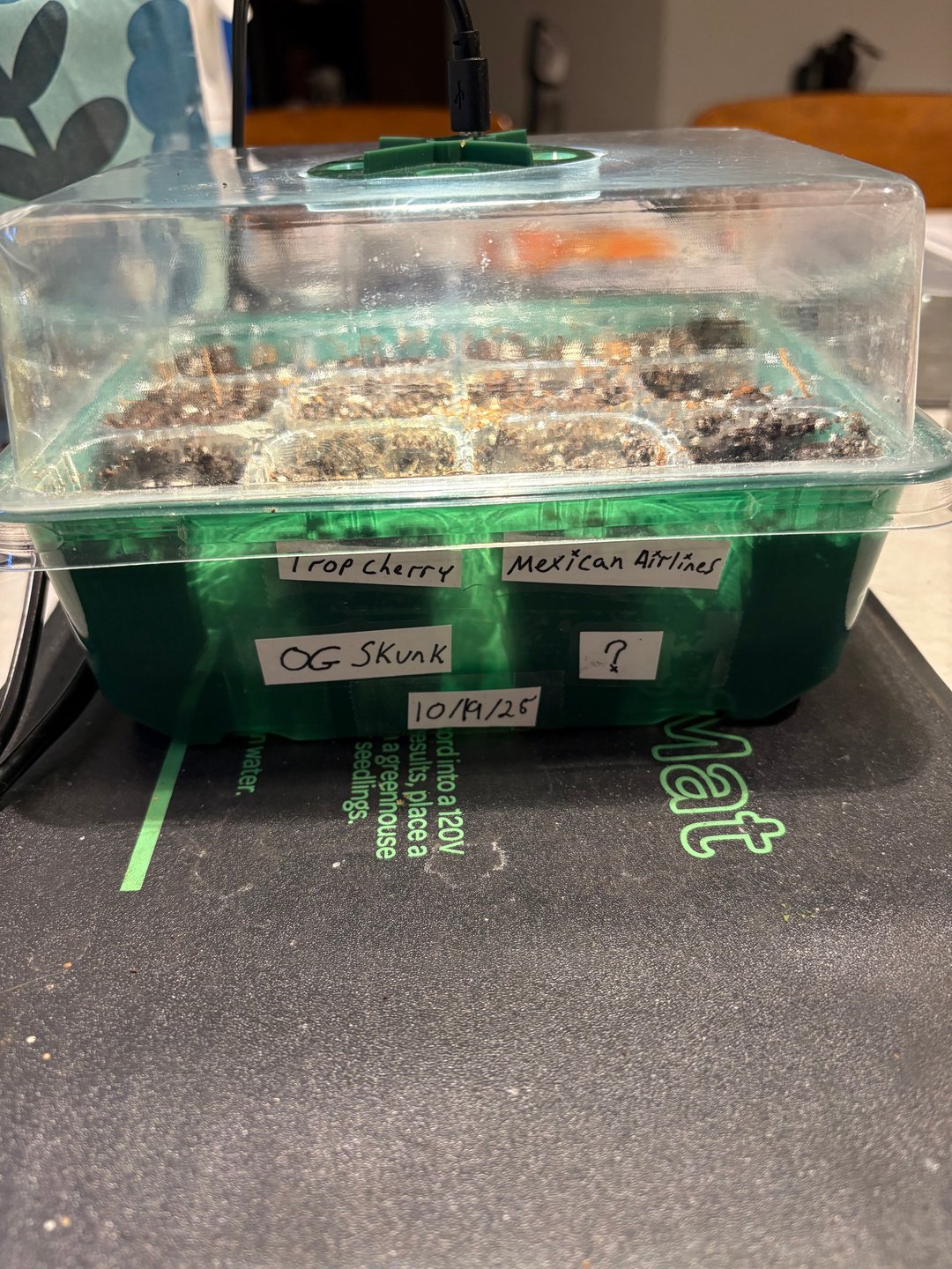 Green house grow # 1