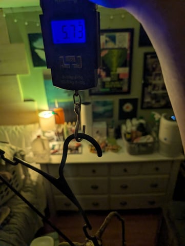 Golden Goat — flower, day 44