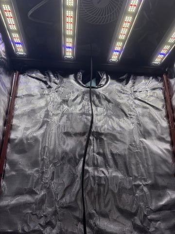 first grow in new 2x2 — grow_setup, day 1