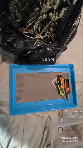 Grow #1 — harvest, day 124