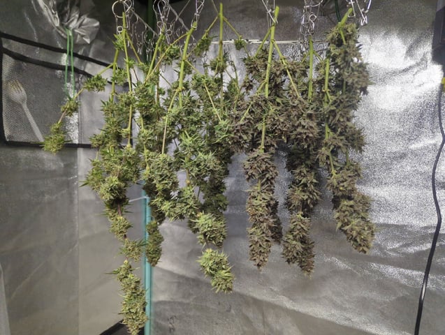 Autos