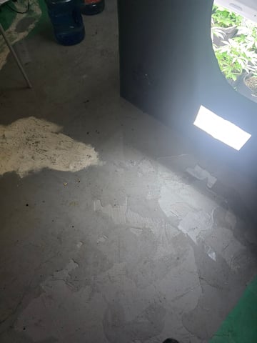 2nd Autoflower Indoor Grow — vegetative, day 26