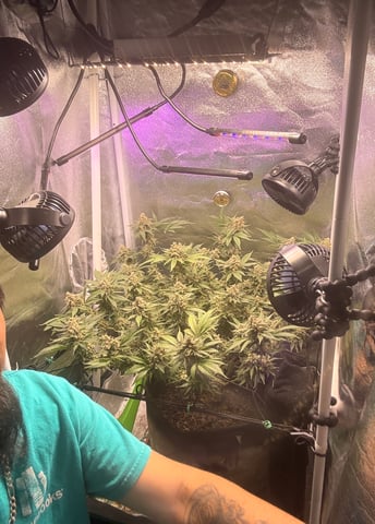 BudBro602