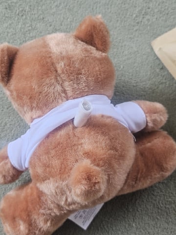 Bruce Banner — grow_setup, day 2