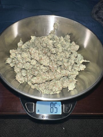 GrowRoom — done, day 38