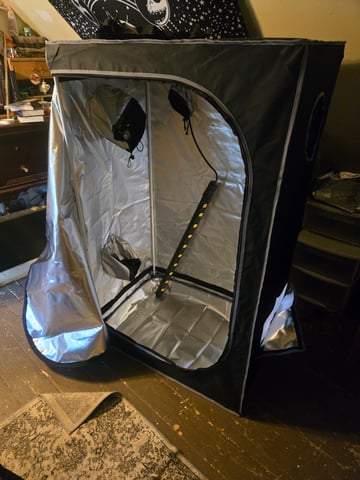 Looking for advice! — vegetative, day 5