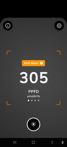 Homegrown - 🍒 🥧 & GSC Auto, 🚀 Seeds 🍌 Buttercups  — seedling_rooting, day 13