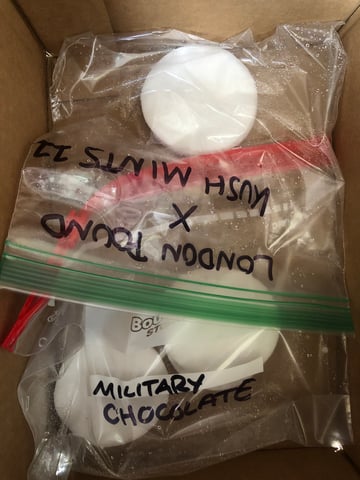 My First Home Grow  — germination, day 1