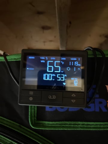 Clones GodFather OG Clones — vegetative, day 22