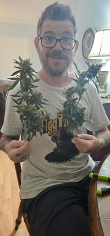 tzar cheese — harvest, day 41