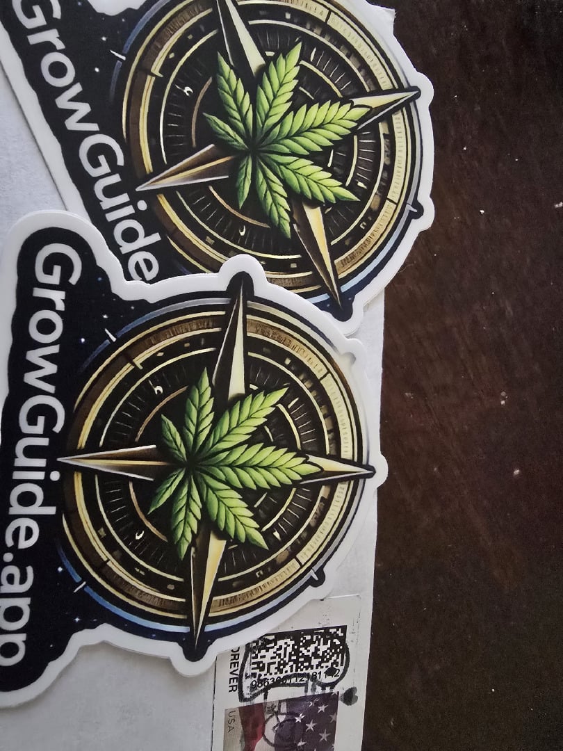 Glookies by Barneys Farm