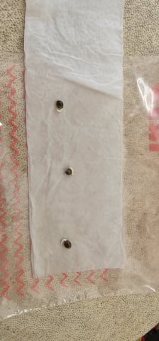 Purple Haze Autoflower — germination, day 2