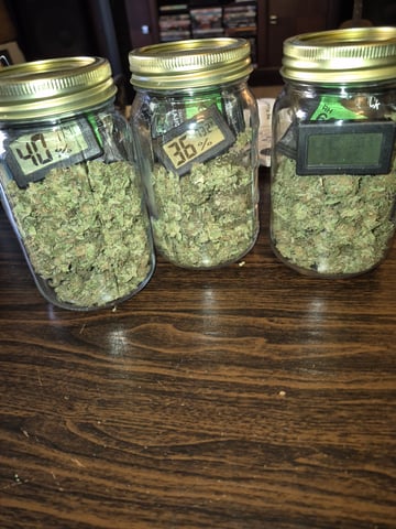 new strain — done, day 99