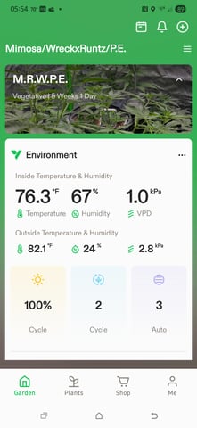 Pineapple Express  — auto, day 13
