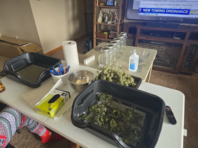 2nd grow round 2 — harvest, day 109