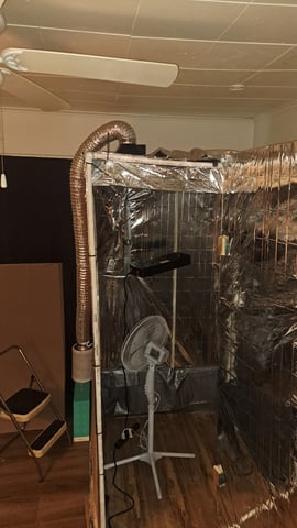 b1. — vegetative, day 77