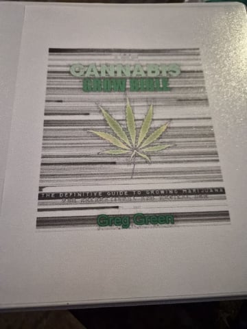 Kalini Asia Auto  — vegetative, day 13