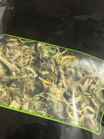 Wedding Cake Zkittlez — harvest, day 48