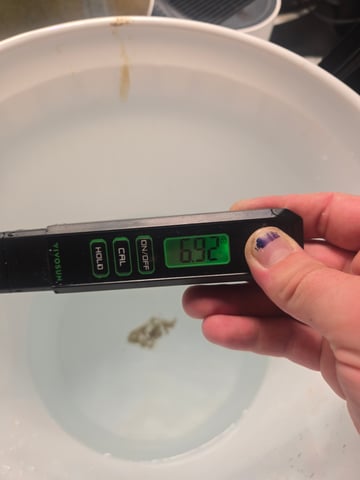 Looking for advice! — flower, day 49