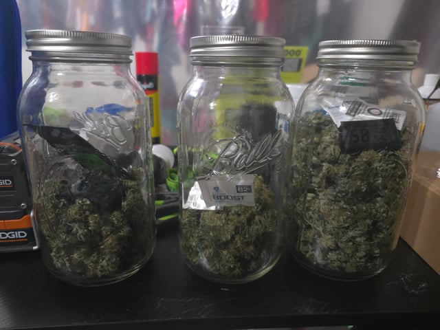 Purple Haze  — harvest, day 96