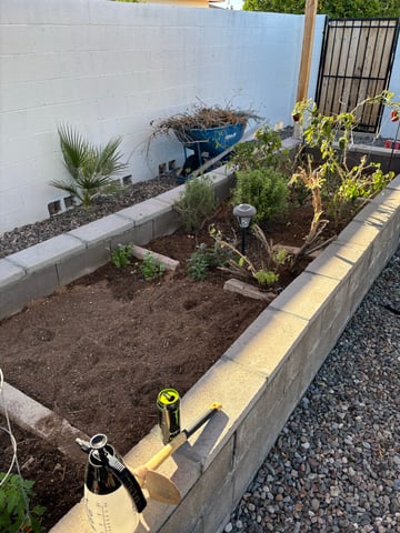 3 seeds  — grow_setup, day 1