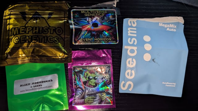 Perpetual Autoflower Mixed Grow #3 — germination, day 1