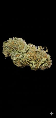 Pine (Auto) 2025 - 0 — done, day 93