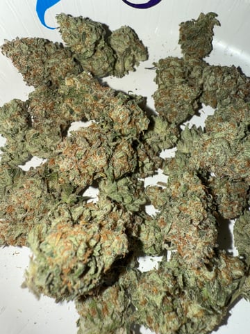 Green Gelato — done, day 134