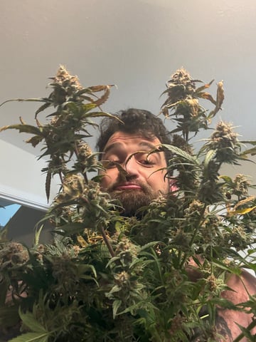 Dr_Picasso