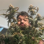 Dr_Picasso