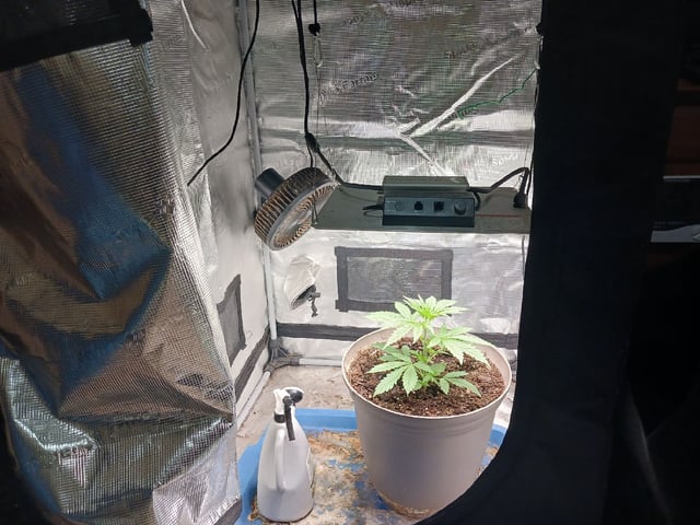 2nd Grow 2026 