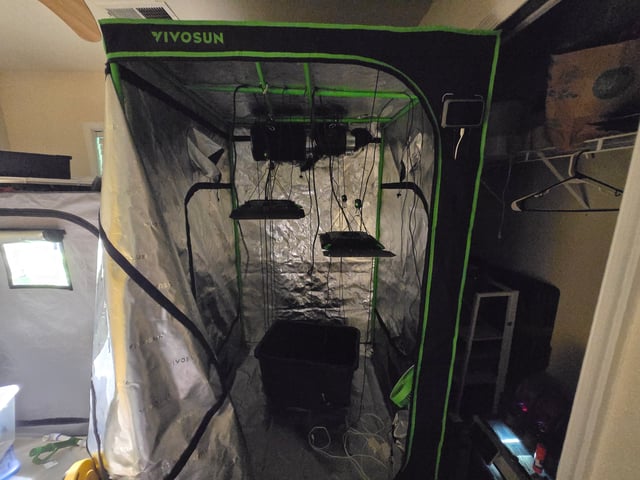 Fastbuds Autoflower Run — seedling_rooting, day 6