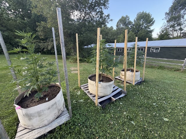 2026 Grow