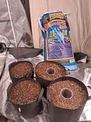 TEAM FULL AUTOS — grow_setup, day 1