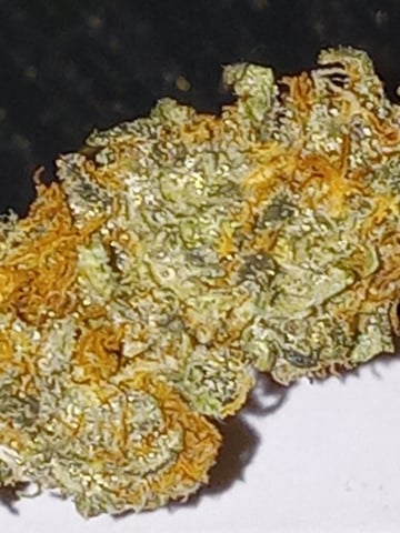 closet grow for veg with a.c infinity air intake fan .With no carbon filter just suction,and spider farmer sf 7000.Then a spider farmer sf tent 4×4×6.5with a G1500 l.e.d from spiderfarmer and spider farmer 6inch clip oscalating fan. — harvest, day 75