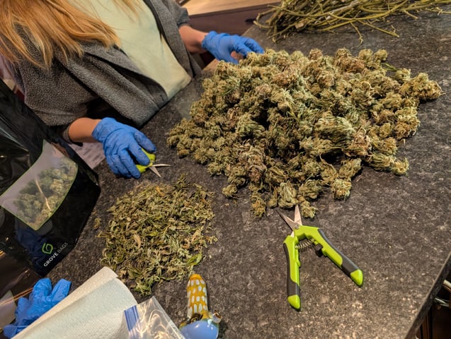 Golden Goat — done, day 55