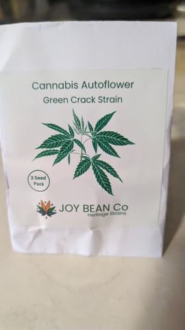 Grow 1 — germination, day 2