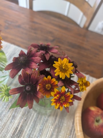 See what grows — vegetative, day 180