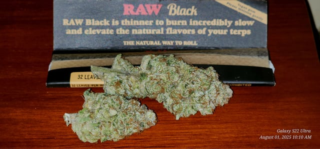 Punch Mints Pheno #2 — harvest, day 77