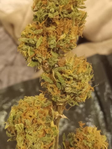2 Apple Struddles ,1 London Pound,1banana Purple punch1gorilla Cookies ,1frostbanger 