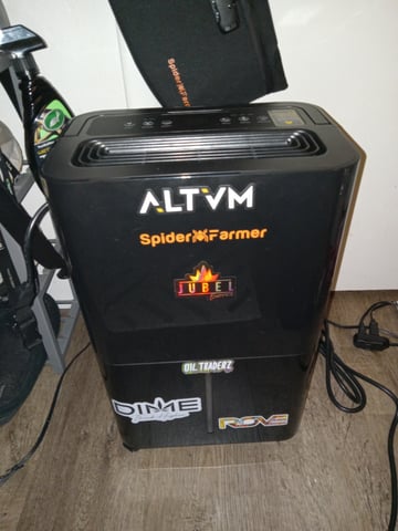 closet grow for veg with a.c infinity air intake fan .With no carbon filter just suction,and spider farmer sf 7000.Then a spider farmer sf tent 4×4×6.5with a G1500 l.e.d from spiderfarmer and spider farmer 6inch clip oscalating fan. — harvest, day 75