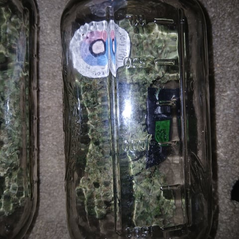 run #3 — done, day 121