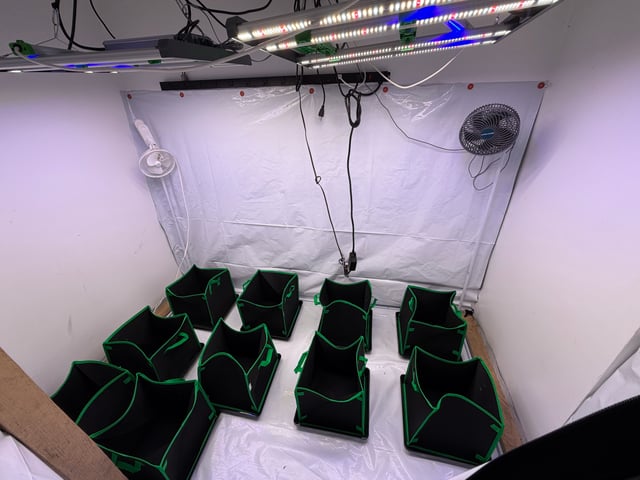Indoor Grow  — harvest, day 121