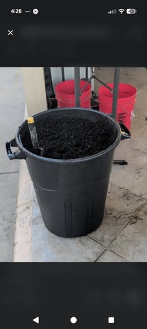 mephisto winter 2026 — vegetative, day 6