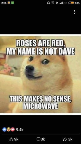 Dos Si Dos. Indica — vegetative, day 24