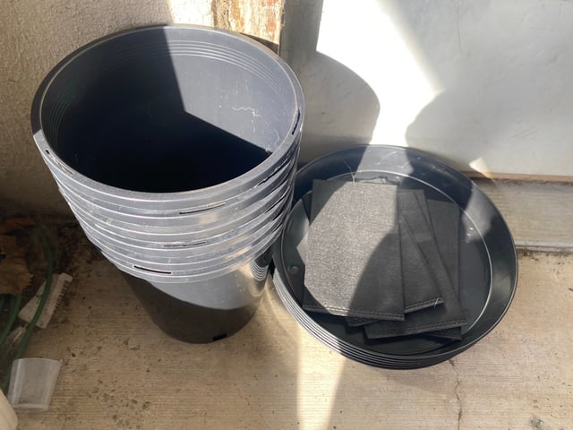 Solfire Gardens Grow — grow_setup, day 1